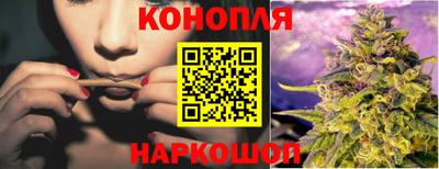гидра Краснокаменск