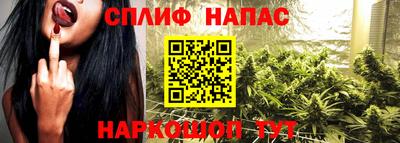 гидра Краснокаменск