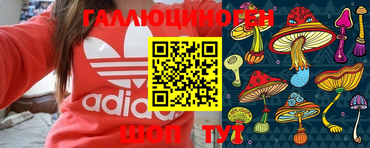 Псилоцибиновые грибы Cubensis Каспийск