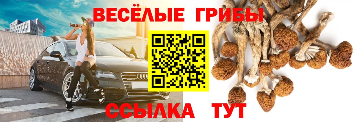 Каспийск  наркота  Вход с VPN  Псилоцибиновые грибы Psilocybe 